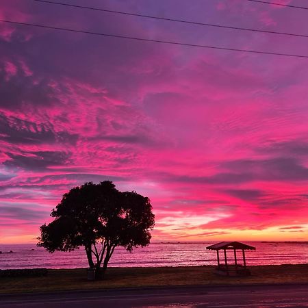 The Anchor Inn Beachfront Motel Kaikoura Luaran gambar